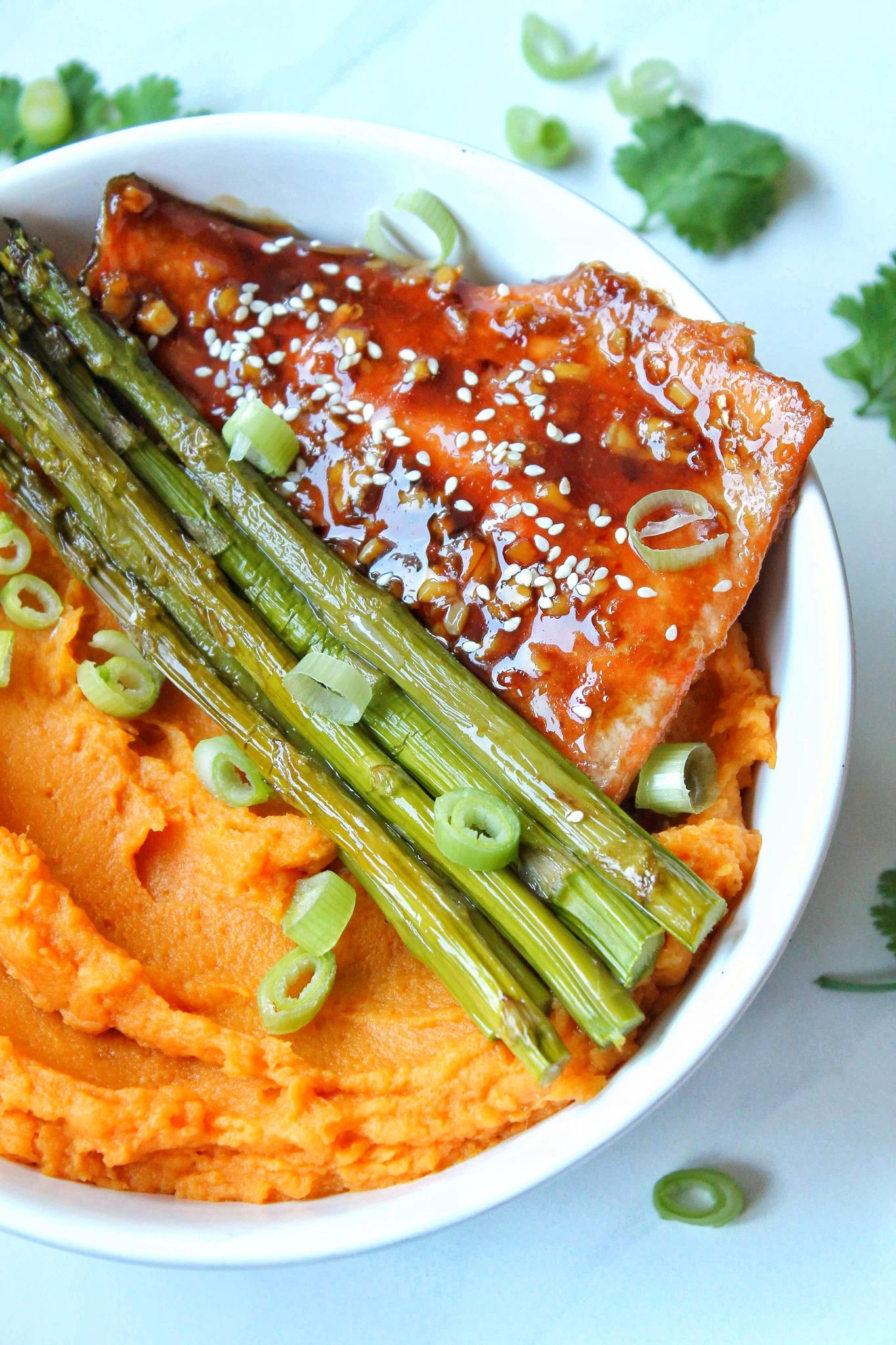 Nature's recipe outlet salmon sweet potato